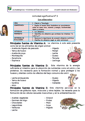 2º E4 S3 Sesión D4 PLAN Lector DIA DE LA Bandera - SESIÓN DE ...