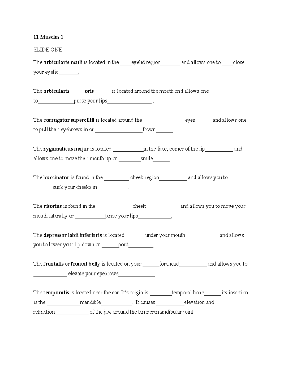 11 Muscles 1 Answers - 11 Muscles 1 SLIDE ONE The orbicularis oculi is ...