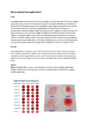 Blood Types Advanced Read Biology Ck 12 Foundation