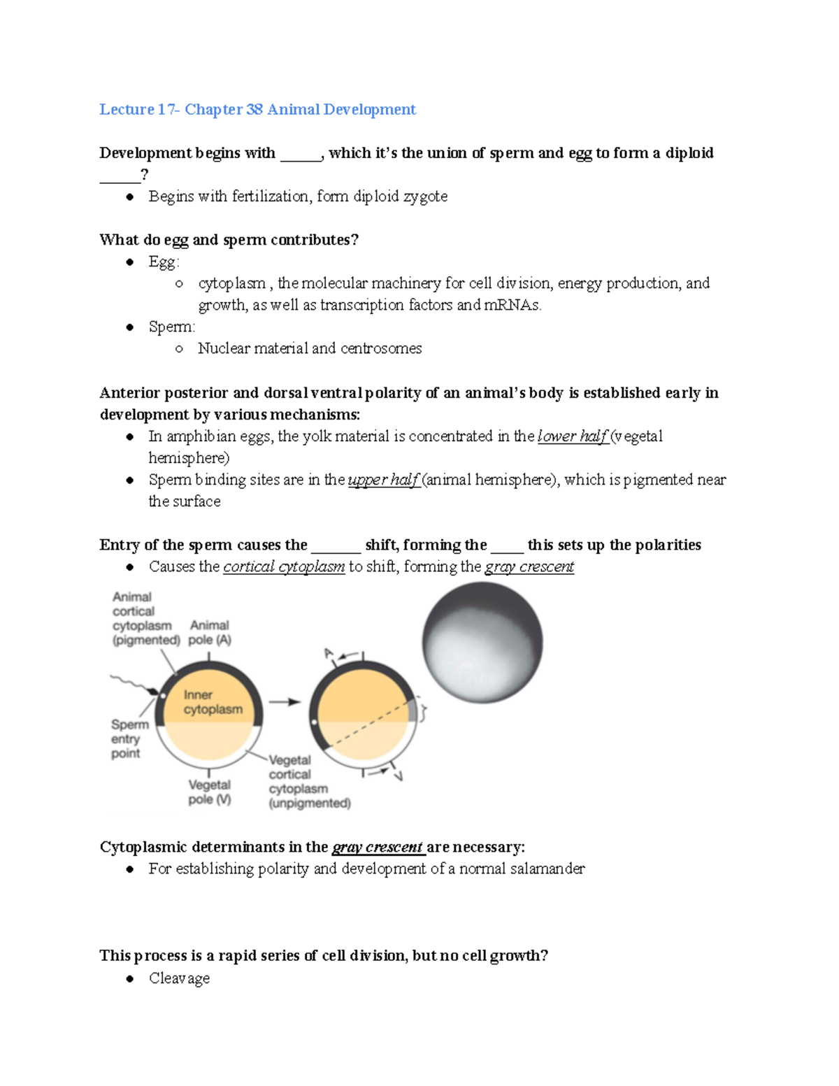 Chapter 38 Animal Development - Lecture 17- Chapter 38 Animal ...
