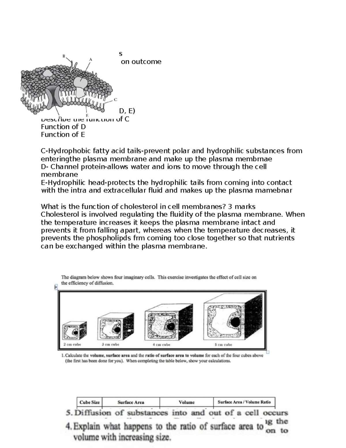 Copy of UNIT 1 AOS 1 BIO vce unit 1 practice exam should be very similar to ur own exams final