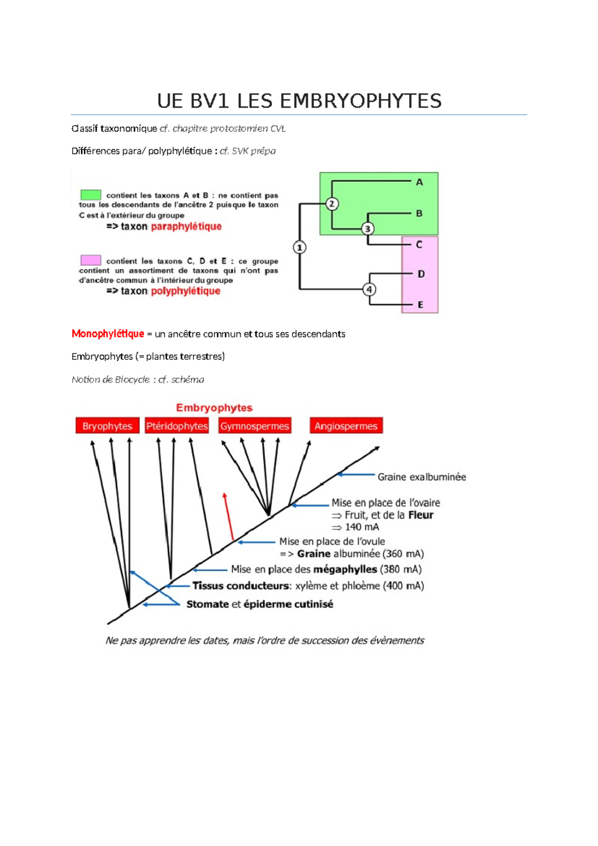 Les embryophytes - UE BV1 LES EMBRYOPHYTES Classif taxonomique cf ...