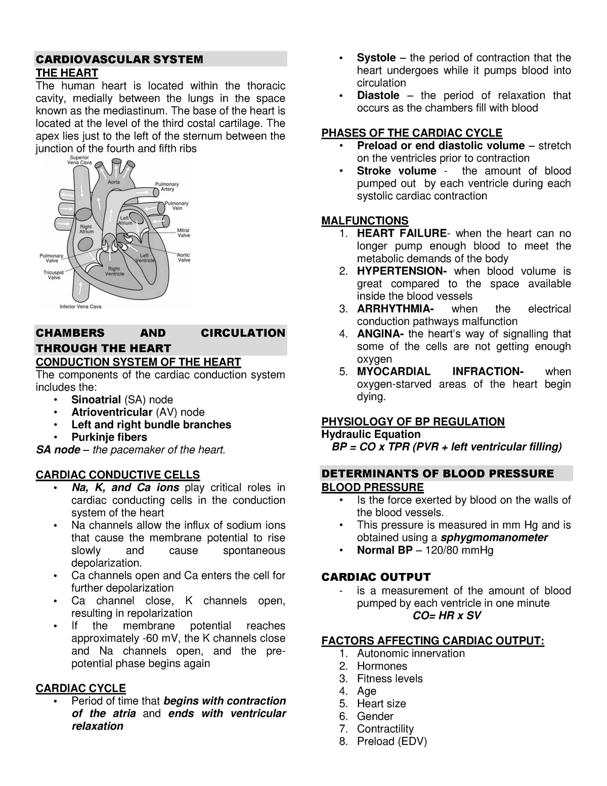 Cardiovascular- System-1 - CARDIOVASCULAR SYSTEM THE HEART The human ...