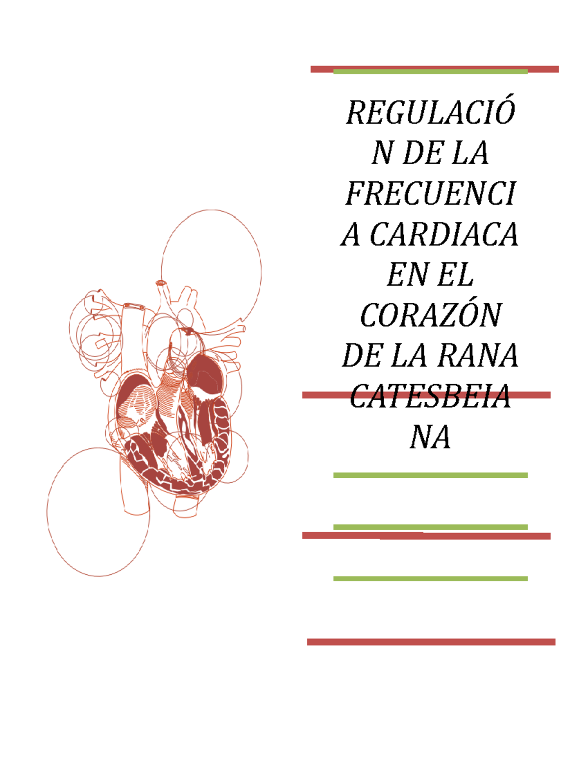 ECG RANA - REGULACIÓN DE LA FRECUENCIA CARDIACA EN EL CORAZÓN DE LA ...