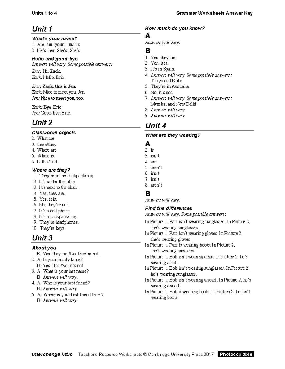 interchange-5th-ed-intro-level-grammar-worksheets-answer-key-unit-1-what-s-your-name-are-am