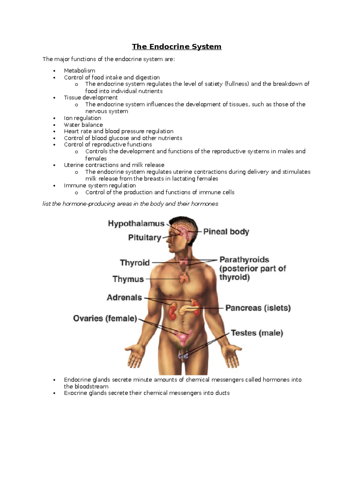 The Endocrine System - describe the way that hormone secretion from an ...