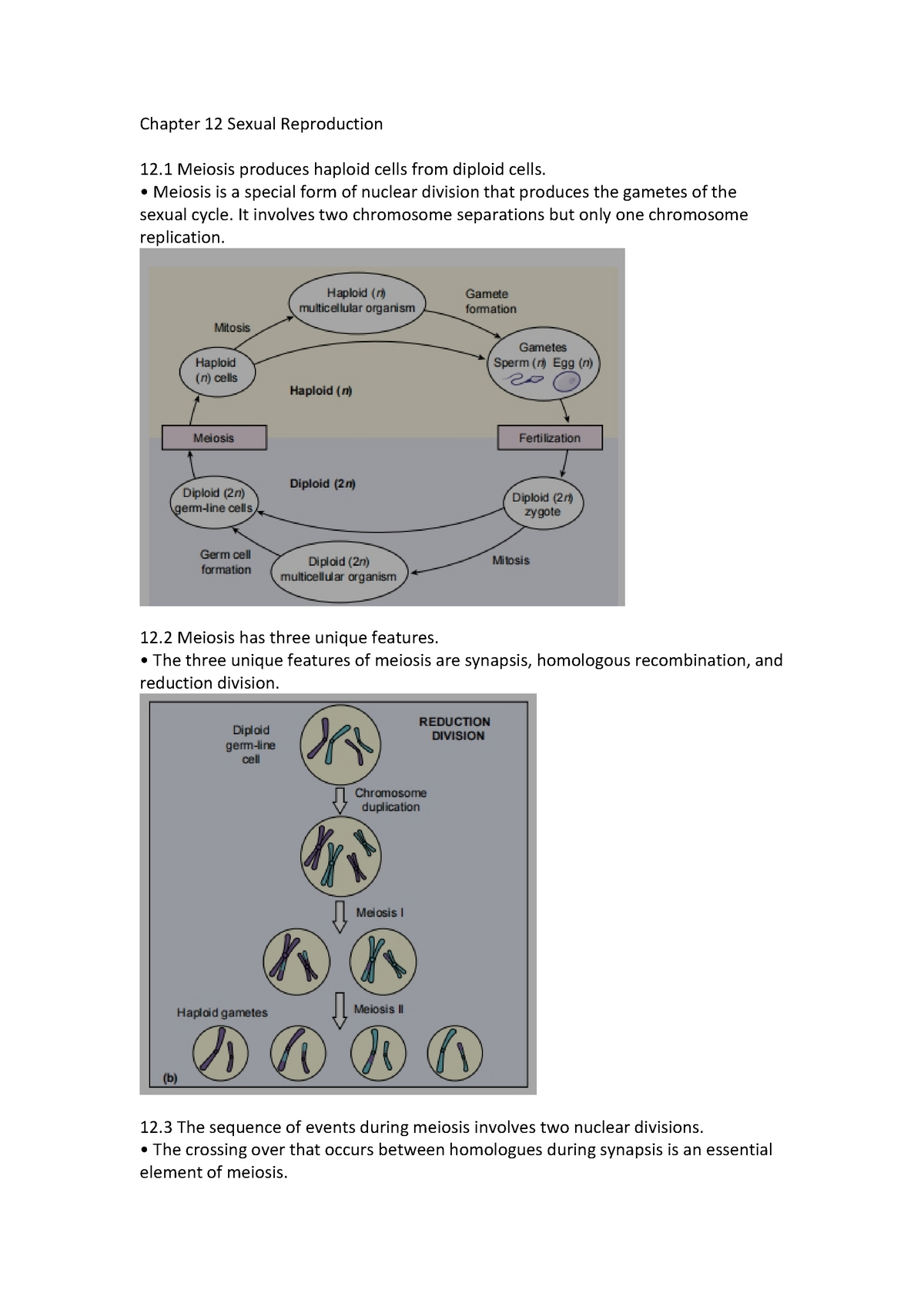 BIOL 10 Summary Ch12 - Chapter 12 Sexual Reproduction 12 Meiosis ...