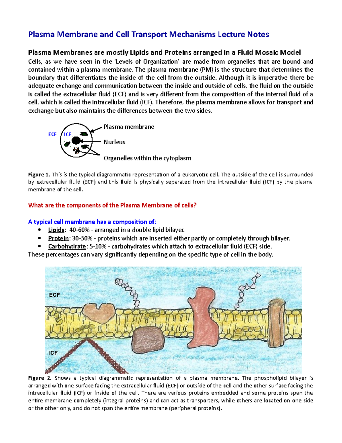 Membrane Physiol Lect - Plasma Membrane and Cell Transport Mechanisms ...