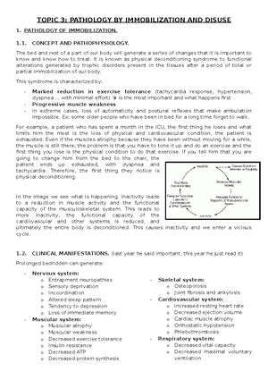 Unit 9 - Lecture notes unit 9 Rehabilitation in the year 2022/2023 ...