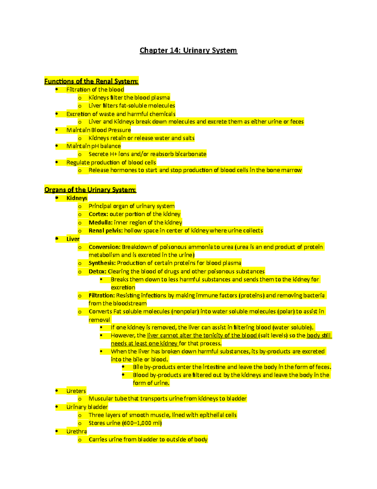 Chapter 14- Urinary System - Chapter 14: Urinary System Functions of ...