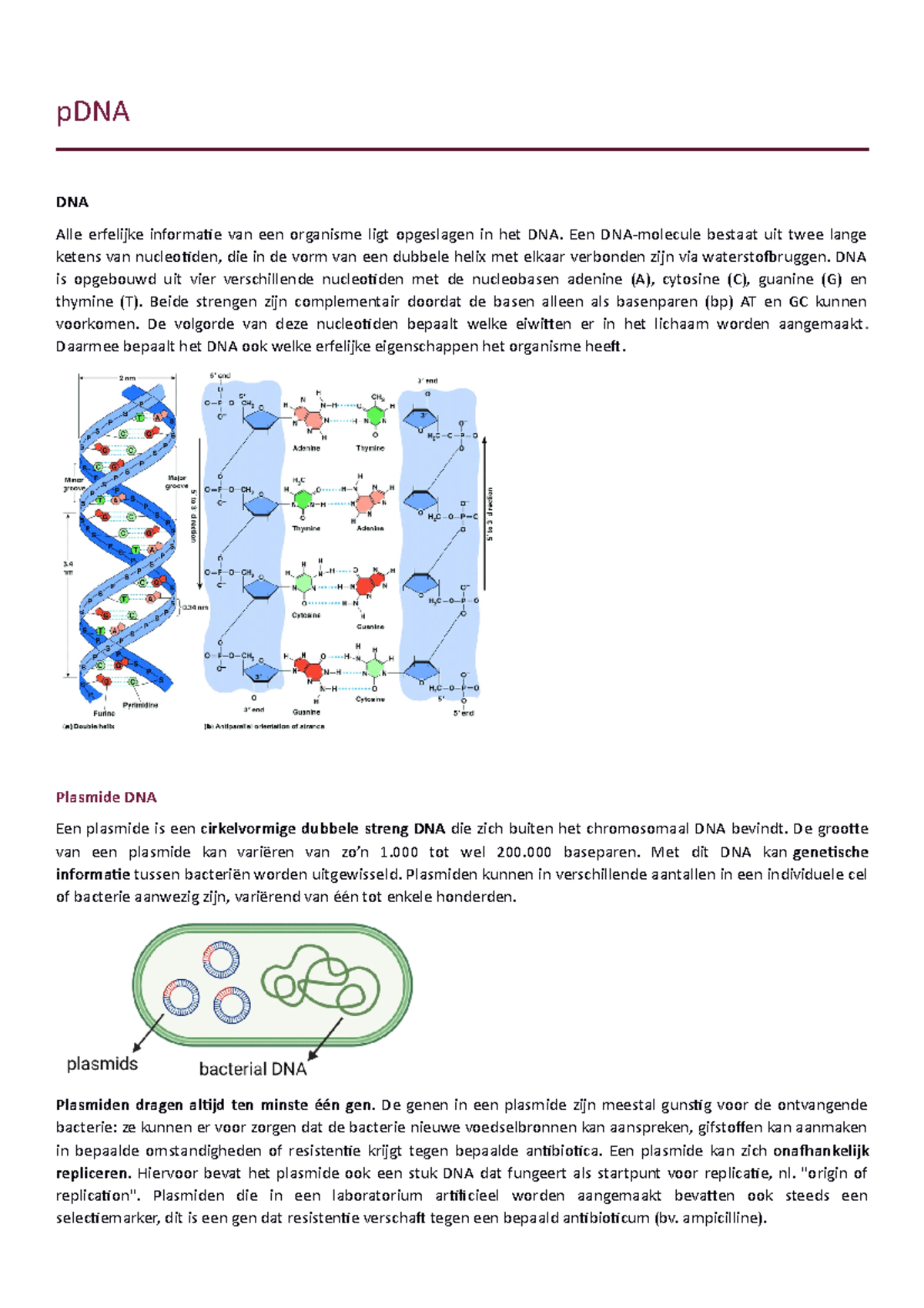 overzicht practicum pDNA pDNA DNA Alle erfelijke informatie van een organisme ligt opgeslagen