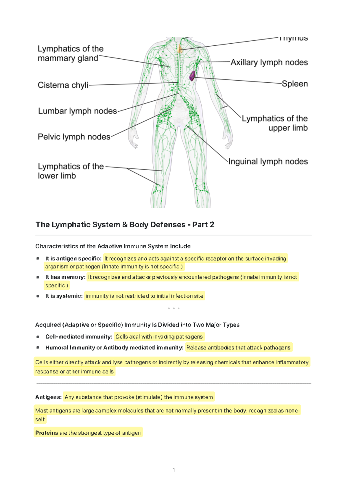 The Lymphatic System and Body Defenses - Part 2 - The T cell becomes ...