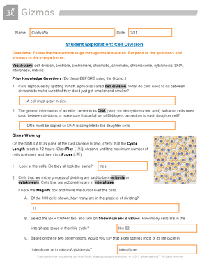 Mitosis-labeling - Mitosis labeling worksheet answer key - SW Science ...