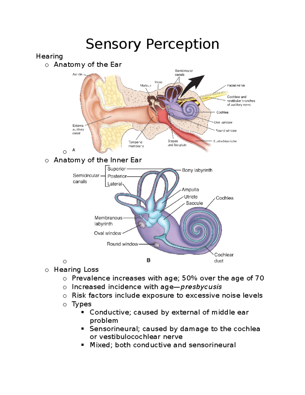 Sensory Perception - Sensory Perception Hearing o Anatomy of the Ear o ...