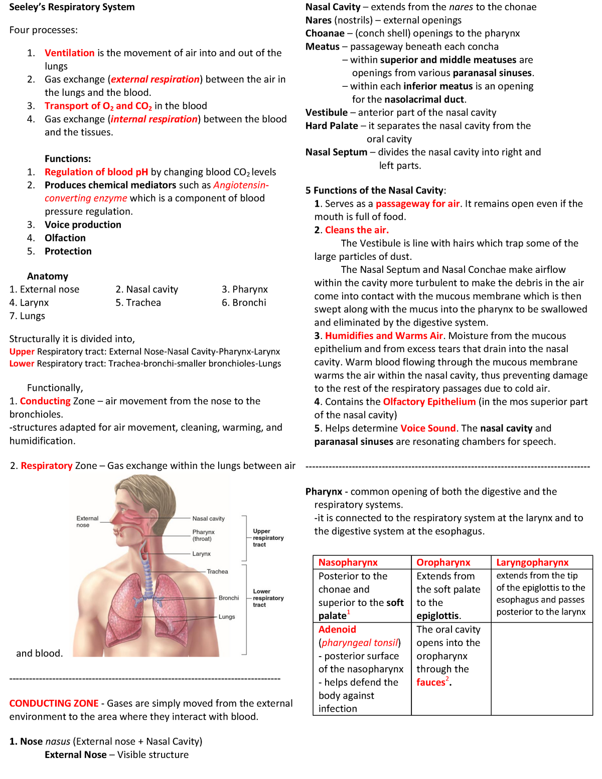 respiratory-system-anatomy-seeley-s-respiratory-system-four-processes