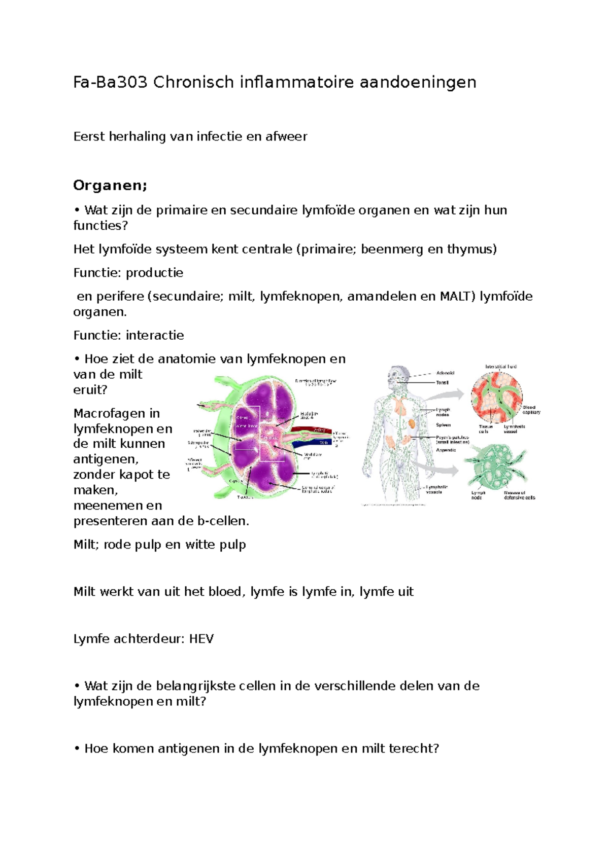 Fa Ba Samenvatting Van De Stof Gegevens Tijdens De Werkcollege En