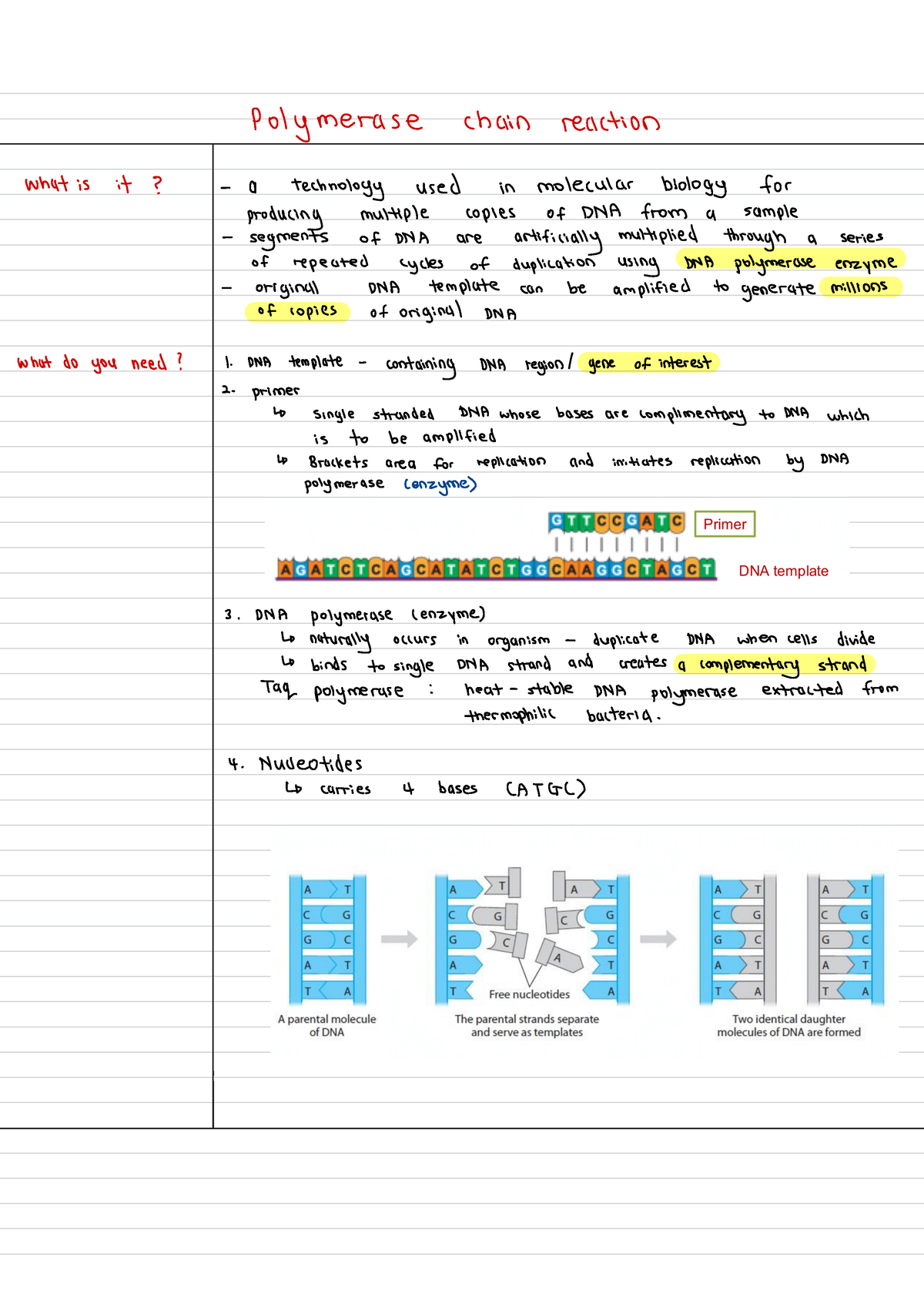 PCR - Bio1022 Notes PCR - Polymerase Chain Reaction What Is It ? - A ...