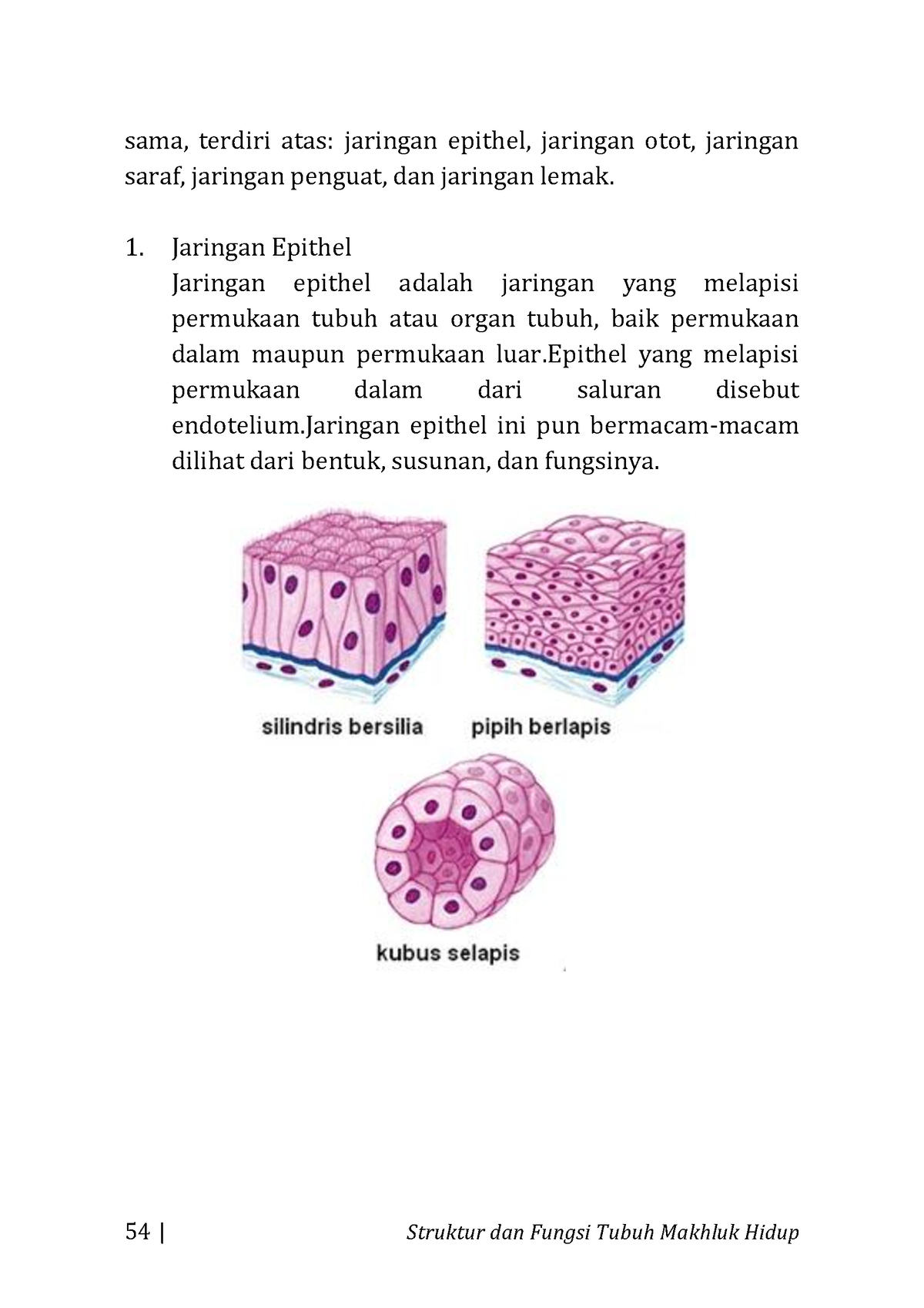 Buku Biologi Dasar Terintegrasi-16 - 54 | Struktur Dan Fungsi Tubuh ...