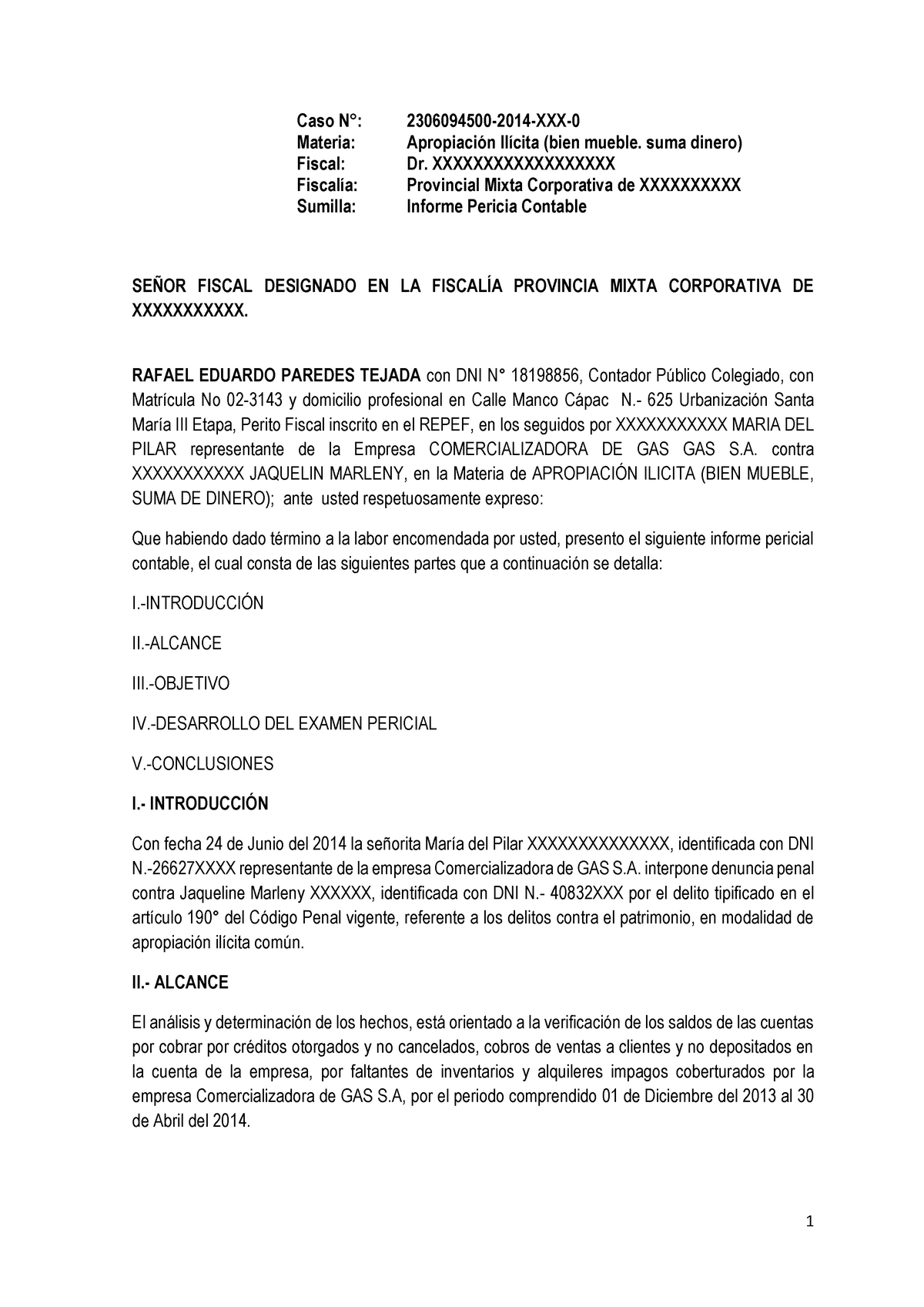 Informe Pericial Empresa Comercializadora DE GAS SAC - Warning: TT:  undefined function: 32 Caso N°: - Studocu