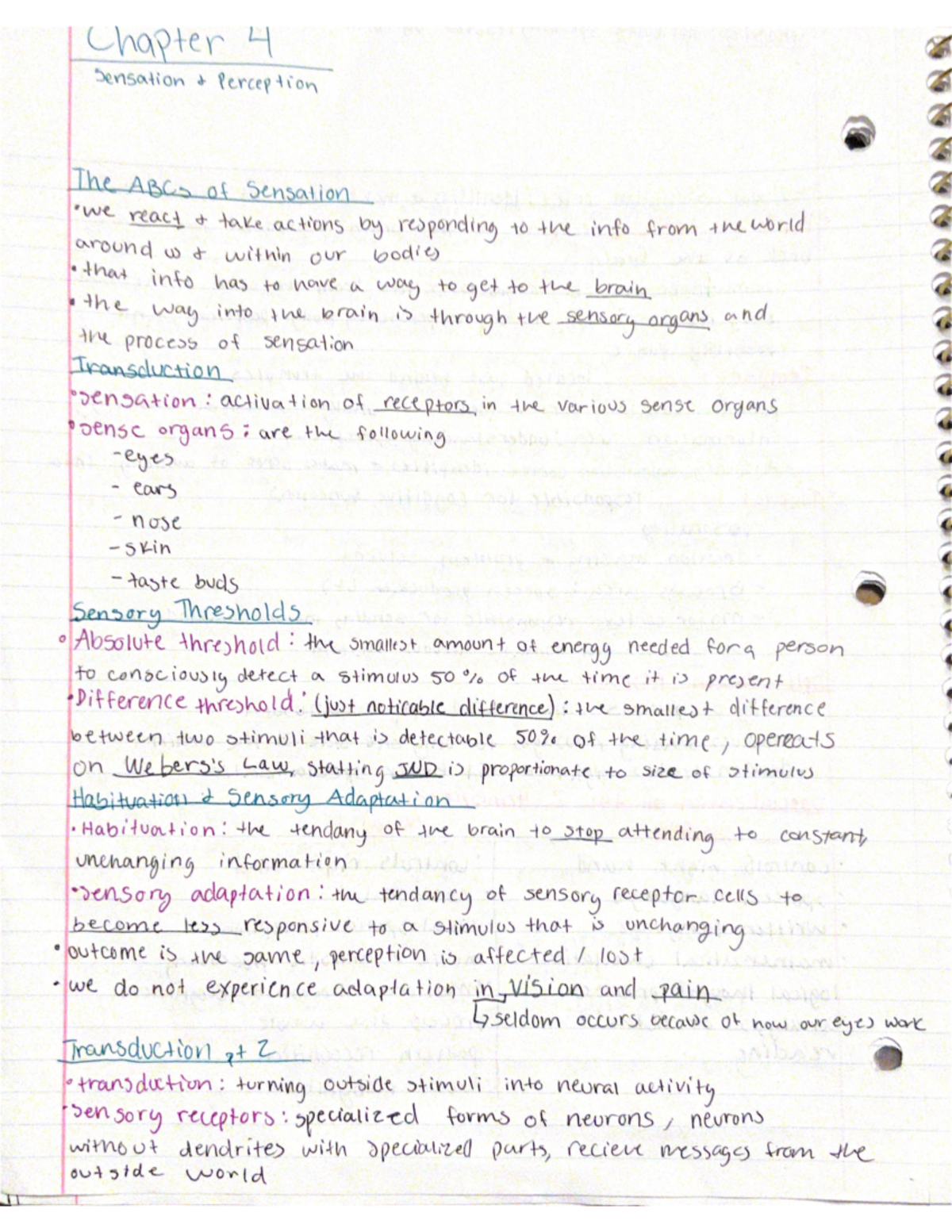 Chapter 4 - Sensation and Perception - Chapter Sensation J Perception ...