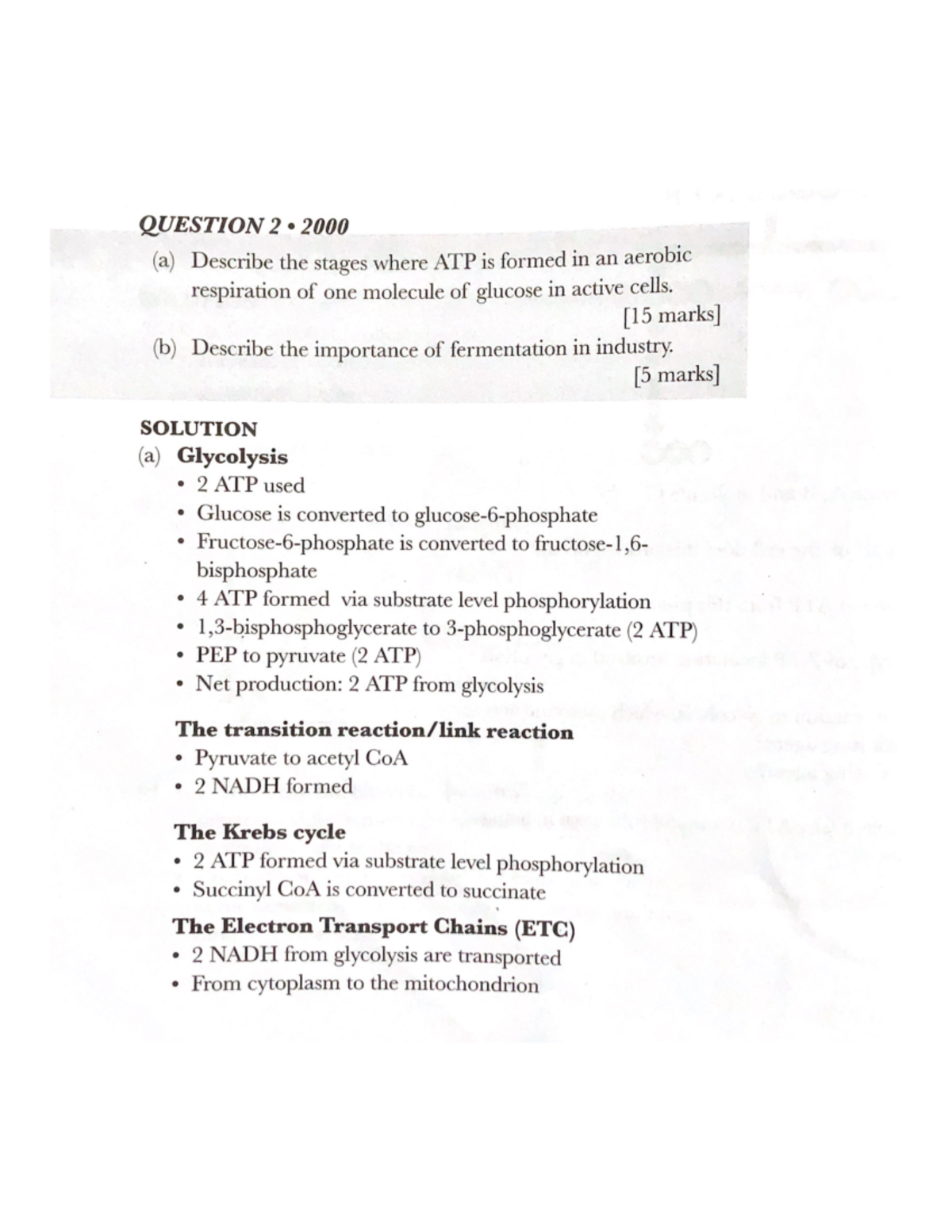 cellular respiration essay grade 11