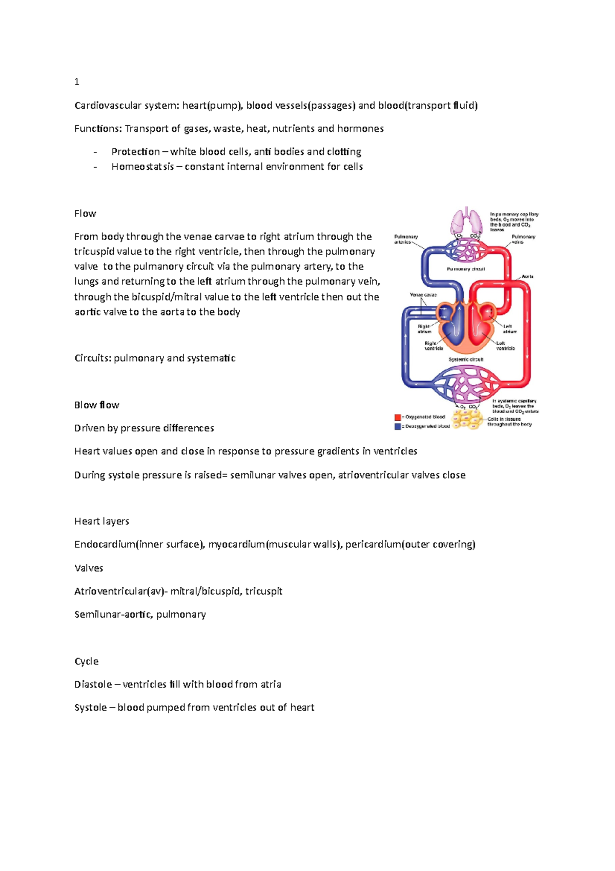 cardiovascular lecture 1 - 1 Cardiovascular system: heart(pump), blood ...