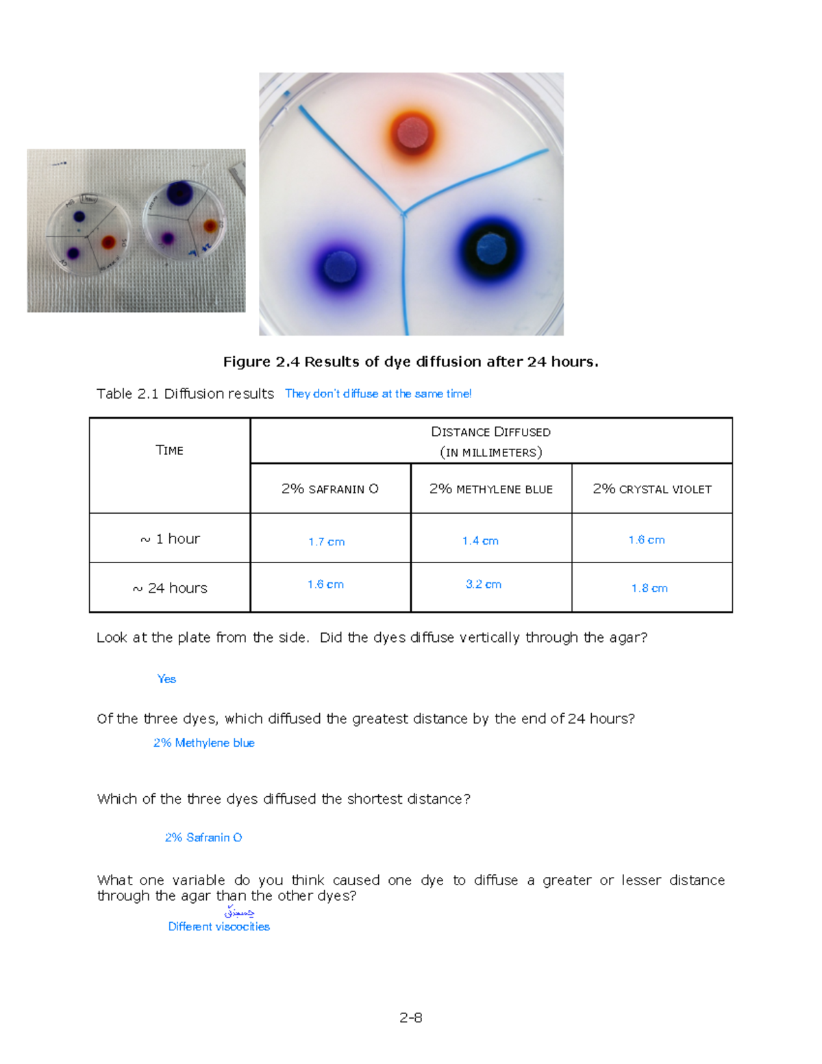 which dye used in the diffusion experiment diffuses fastest