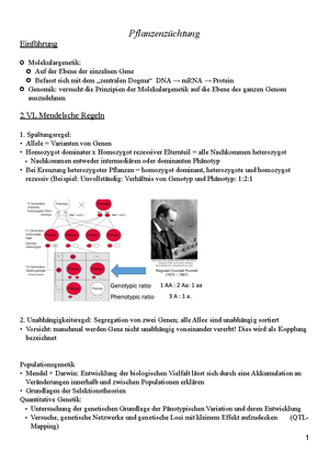 heterozygote Beispiele