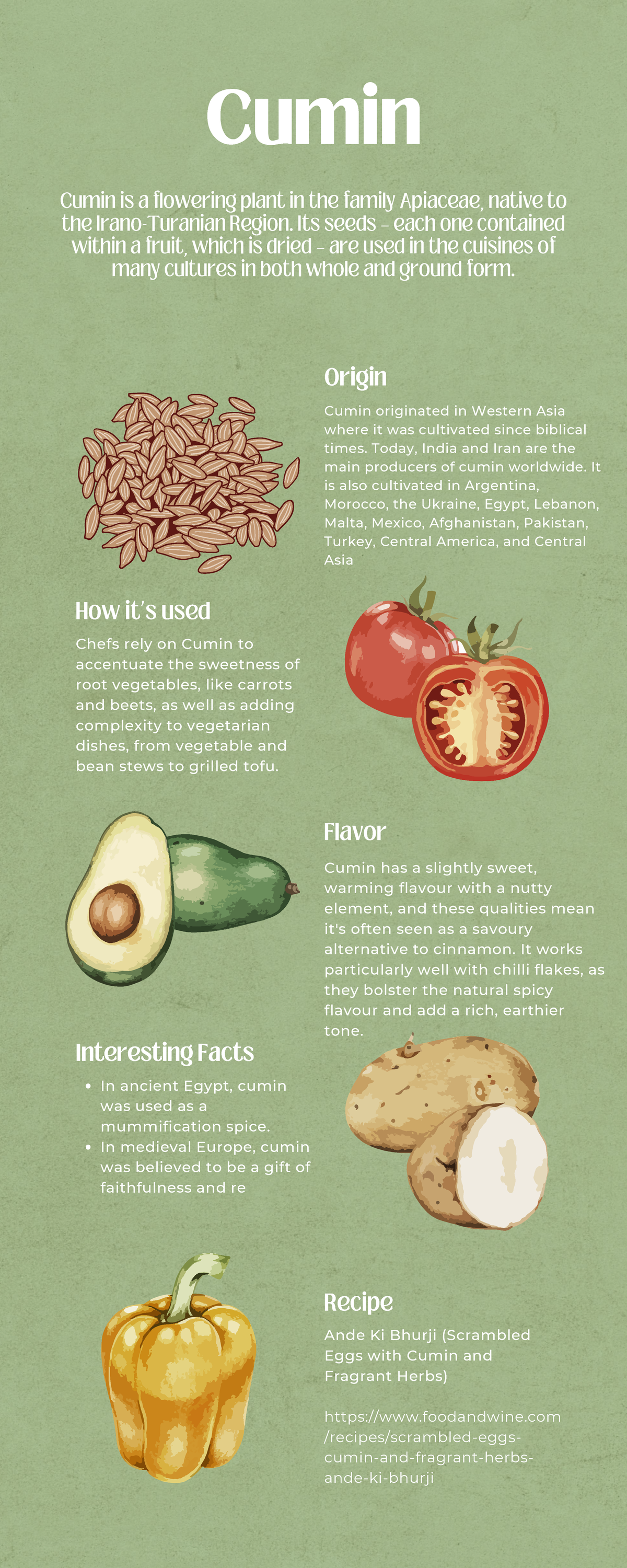 Green Minimal Nutrition Infographic - Cumin Cumin originated in Western ...