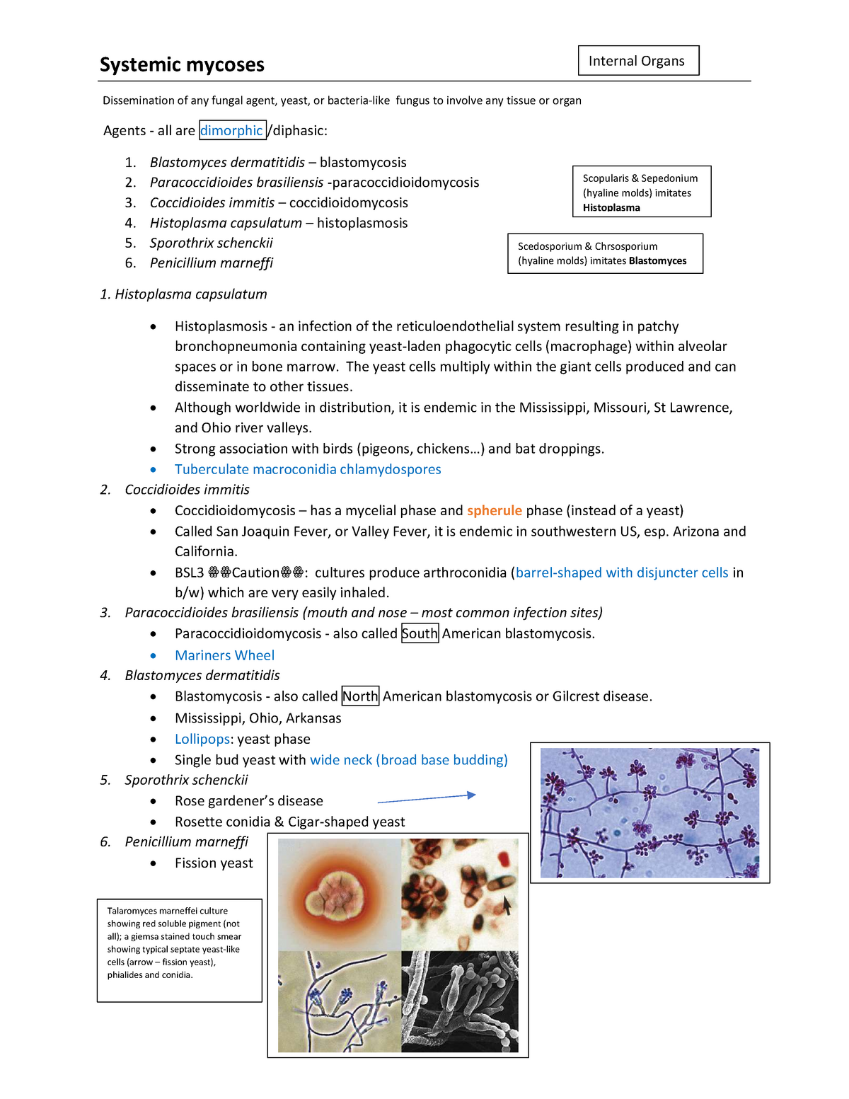 Systemic Mycoses Thermally Dimorphic Mycology - Warning: TT