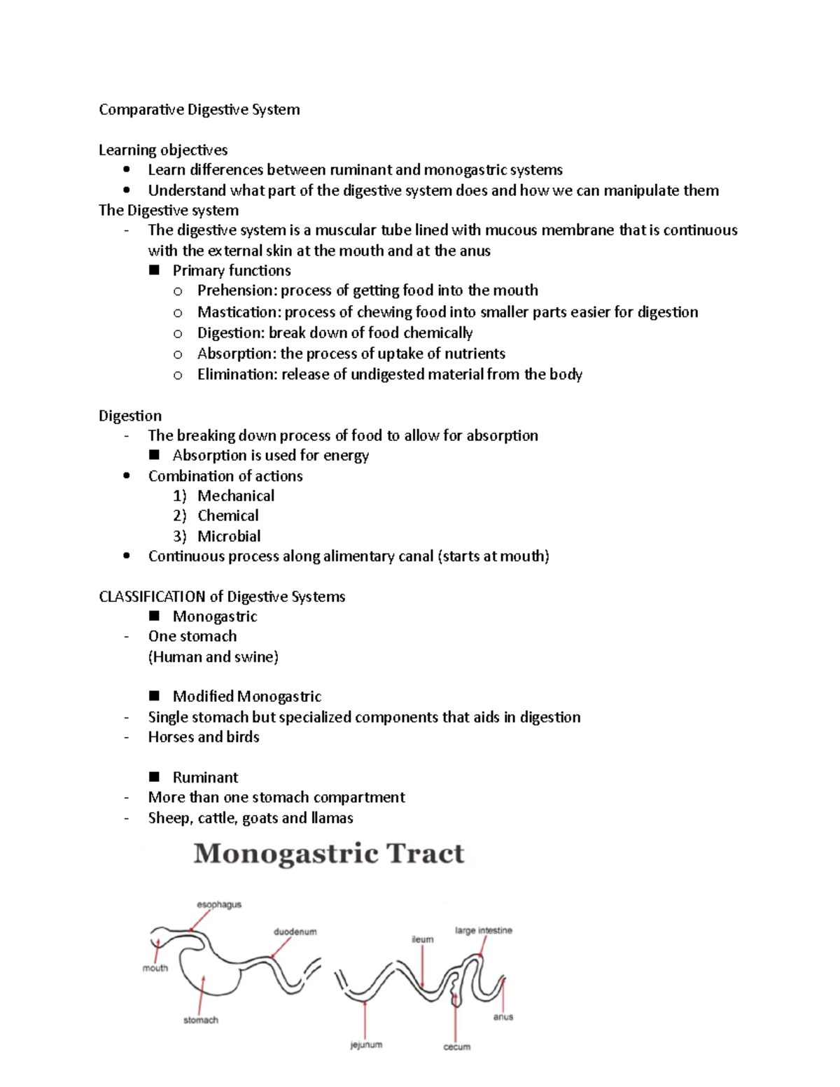 comparative-digestive-system-of-animals-and-how-they-work-comparative