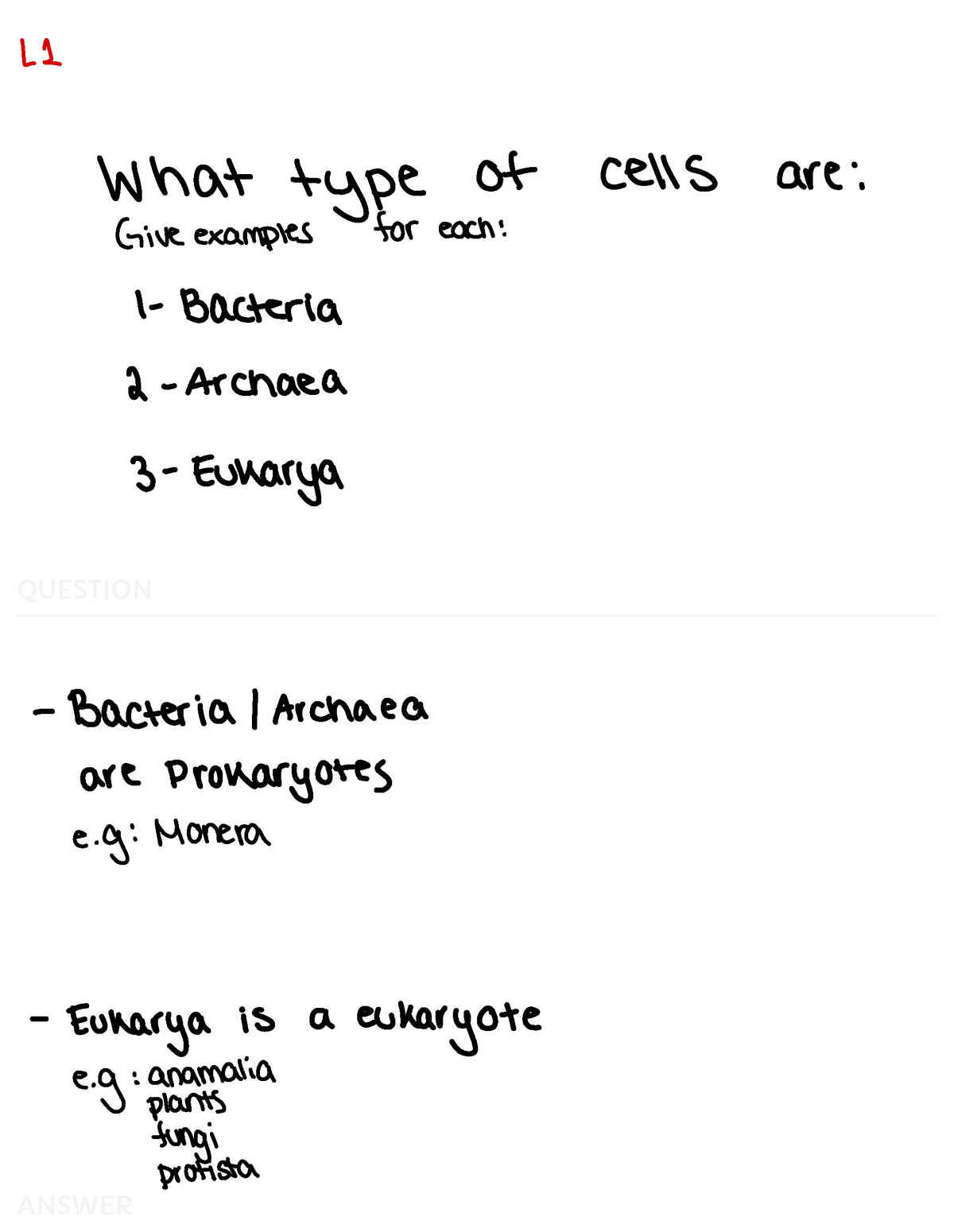 midterm-1-flash-cards-question-ll-what-type-of-cells-are-give