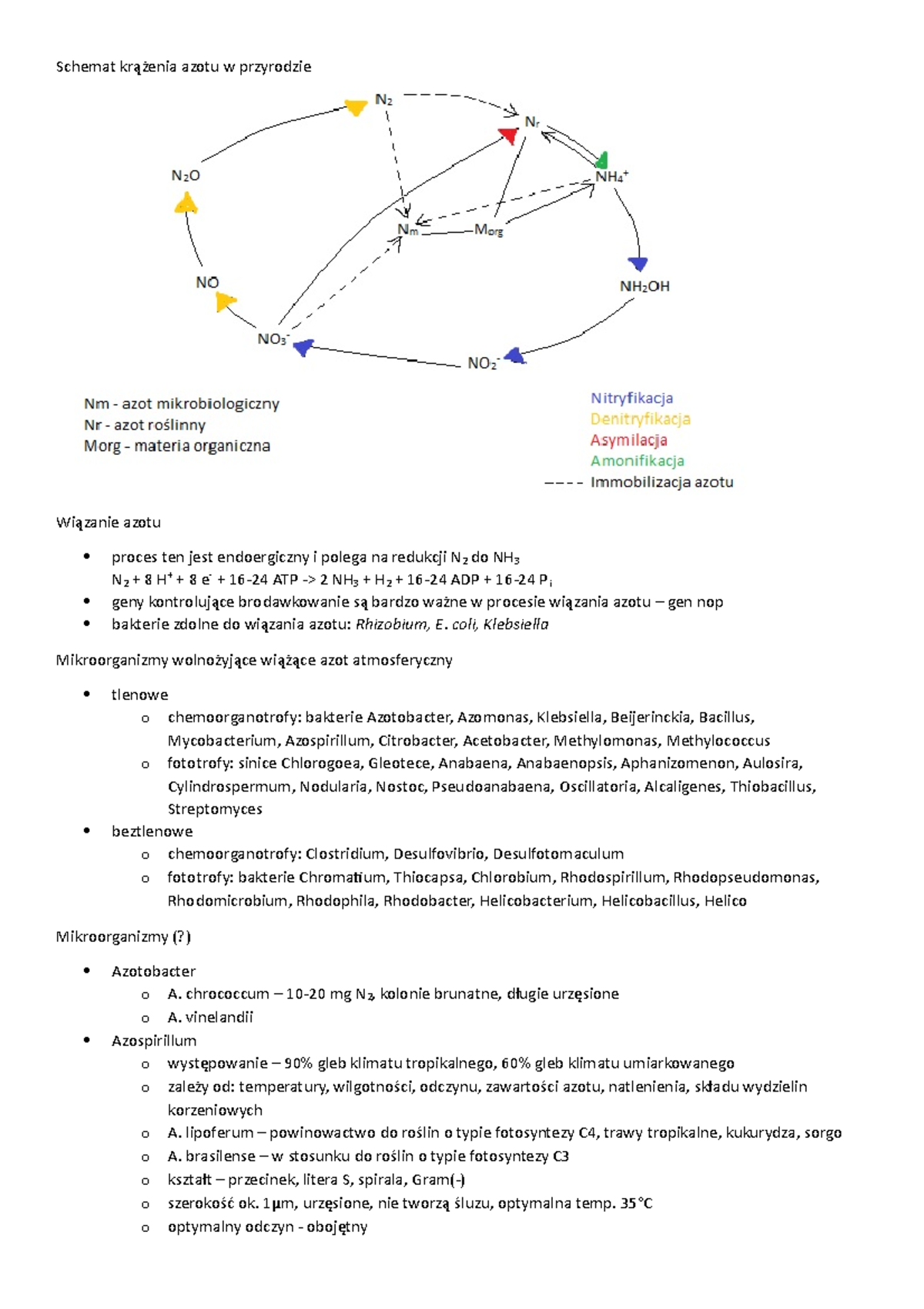 Mikrobiologia gleb - azot - Schemat krążenia azotu w przyrodzie ...