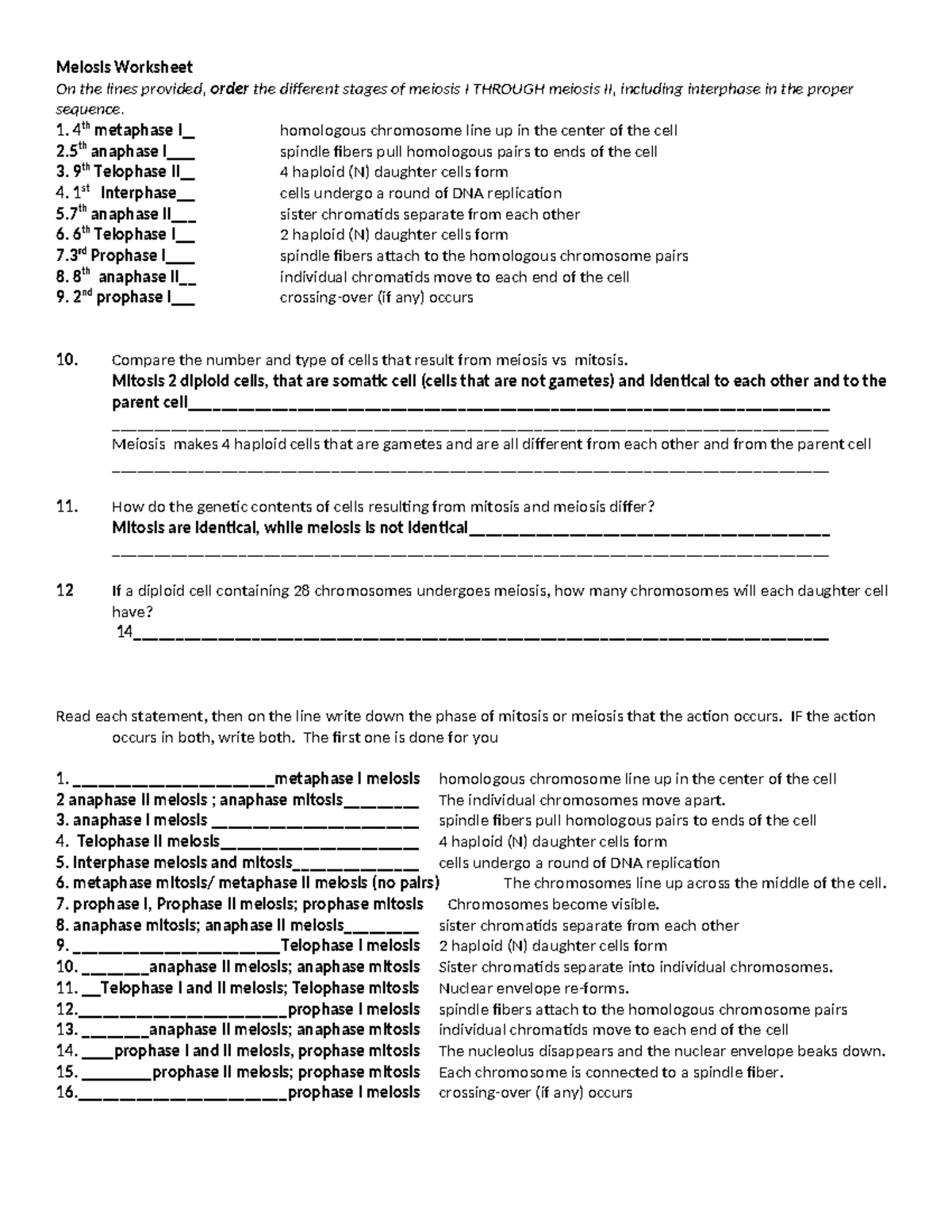 Meiosis Worksheet 12 key - Meiosis Worksheet On the lines provided ...