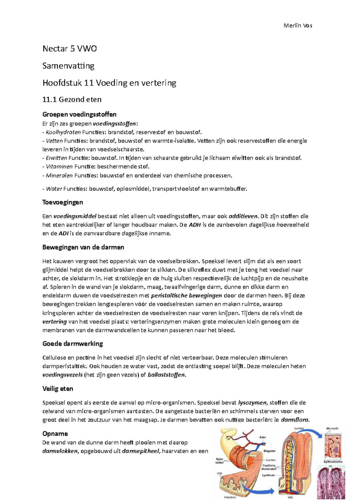 Samenvatting Hoofdstuk 11 Voeding En Vertering VWO 5 - Nectar 5 VWO ...