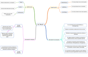 MAPA Mental Vegetal 2 - EL TALLO MORFOLOGÍA RAMIFICACIÓN CRECIMIENTO  PRIMARIO CRECIMIENTO SECUNDARIO - Studocu