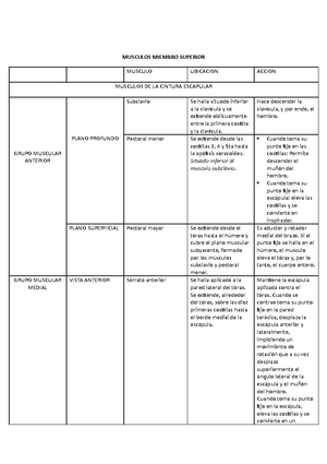 Final anato completo - CRÁNEO La línea de Poirier separa la calota ...