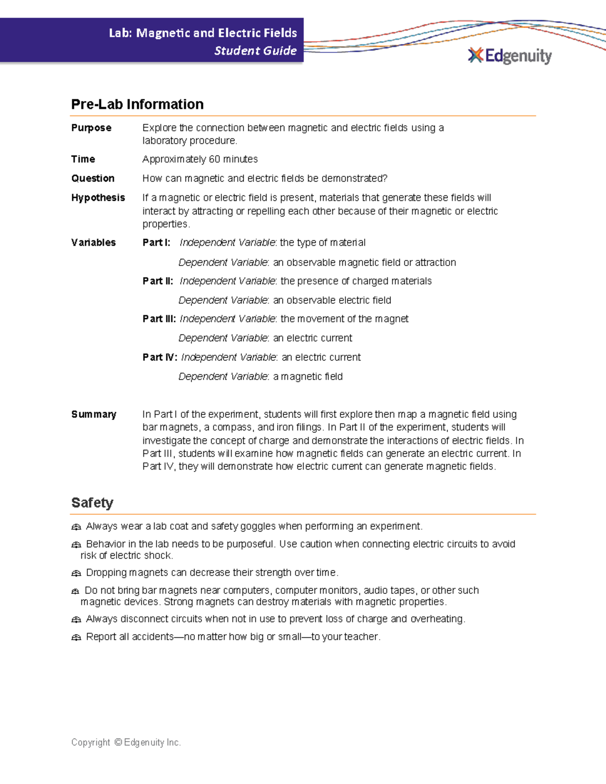 lab magnetic and electric fields assignment lab report edgenuity