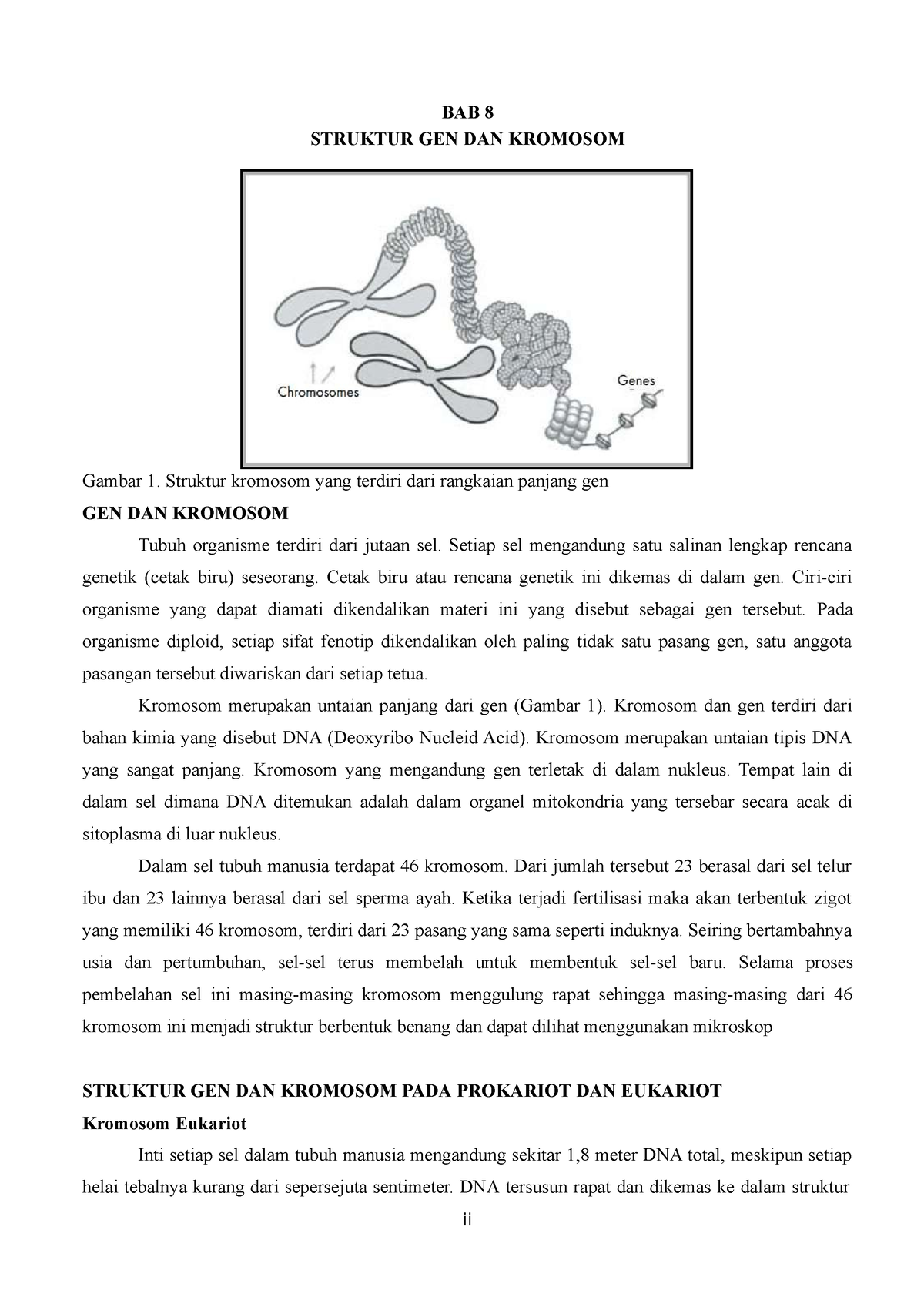 modul-ajar-biologi-dasar-bab-8-struktur-gen-dan-kromosom-bab-8