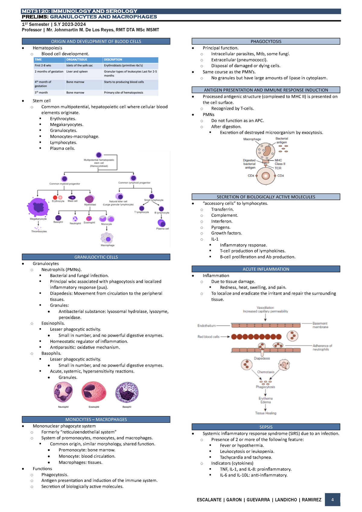 Prelim 3 Granulocytes and Macrophages - MDT 3120 : IMMUNOLOGY AND ...