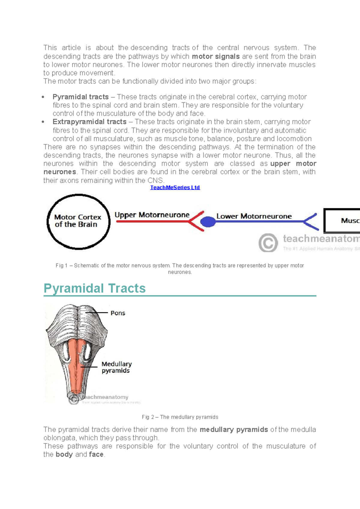 Descending tracts - The descending tracts are the pathways by which ...