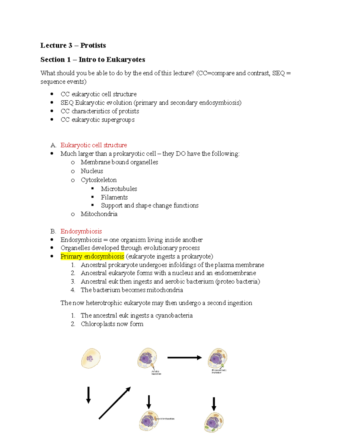 Lecture 3 Eukaryotes - Lecture 3 – Protists Section 1 – Intro to ...