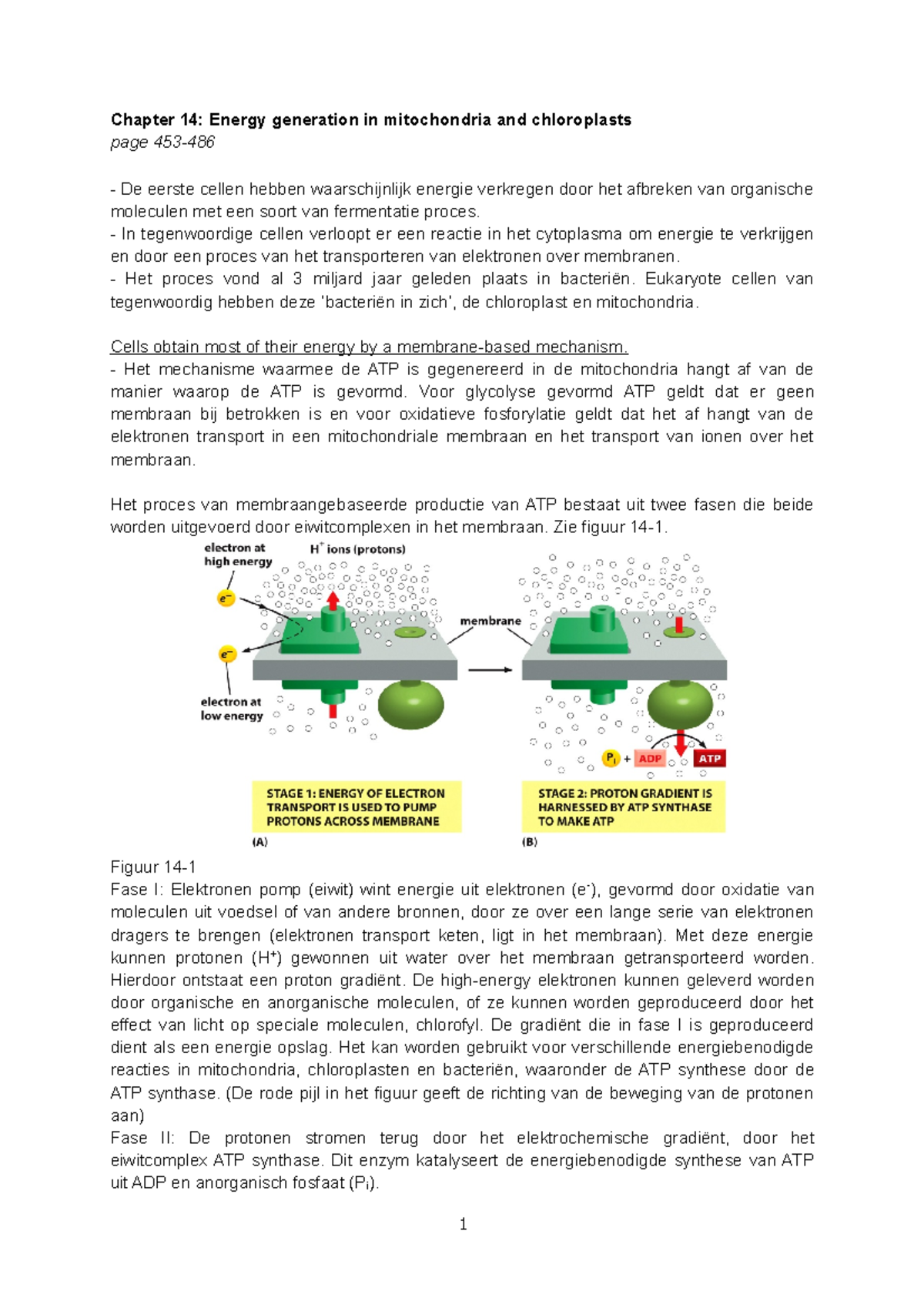 P12 Samenvatting Metabolisme Chapter 14 ECB En 27 Fgocb (2)-1 - Chapter ...