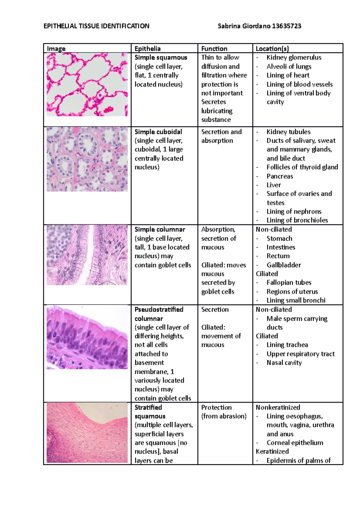 epithelia guide - EPITHELIAL TISSUE IDENTIFICATION Sabrina Giordano ...