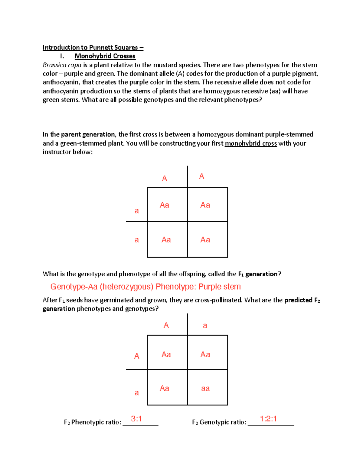 Monohybrid Worksheet - Part 1 - BIOL 1408 - CTC - Studocu