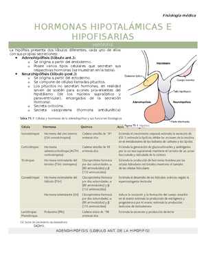 Hormonas Hipotalámicas E Hipofisarias (fisiología Médica) - StuDocu