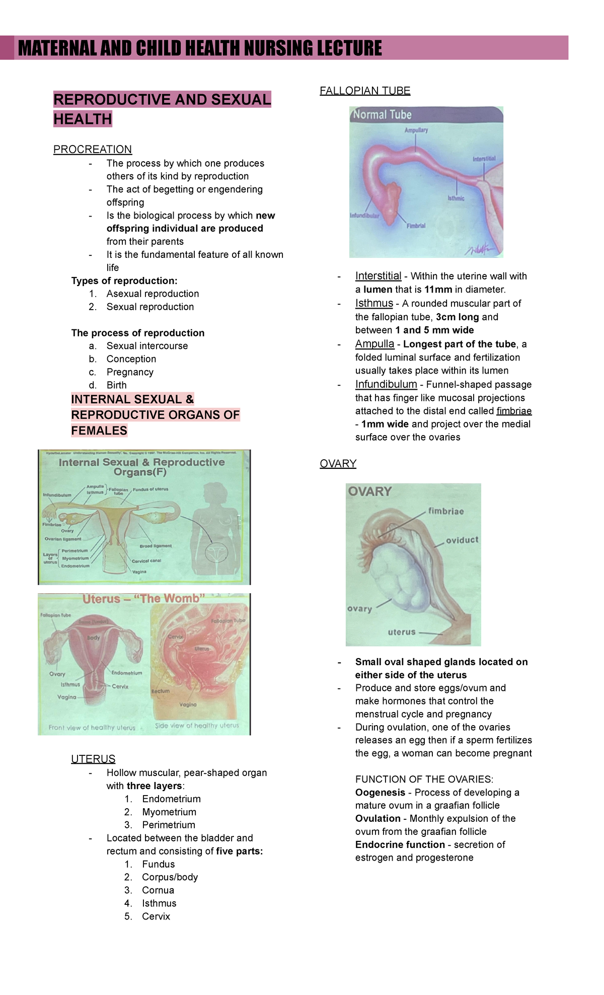 MCHN Trans 4mer - Lecture - REPRODUCTIVE AND SEXUAL HEALTH PROCREATION ...