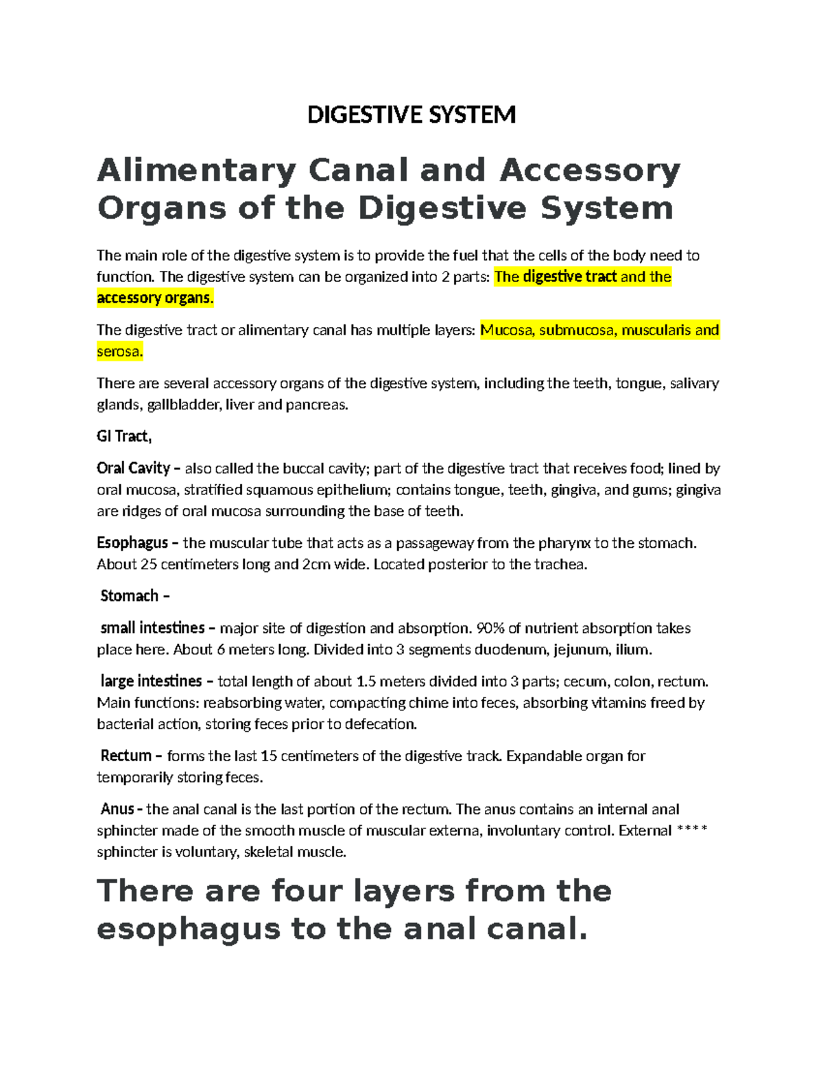 Digestive System - Summary Human Anatomy And Physiology II – Theory ...