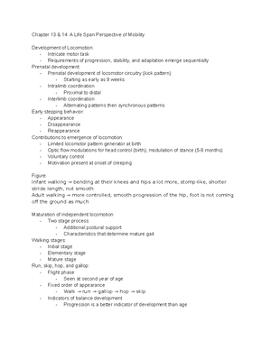 Physiology of Motor Control (Pt. 1) - Physiology of Motor Control ...