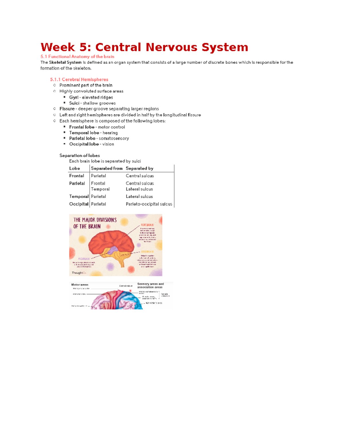 Central NS - Lecture Notes 5 - HBS1HBB - Week 5: Central Nervous System ...